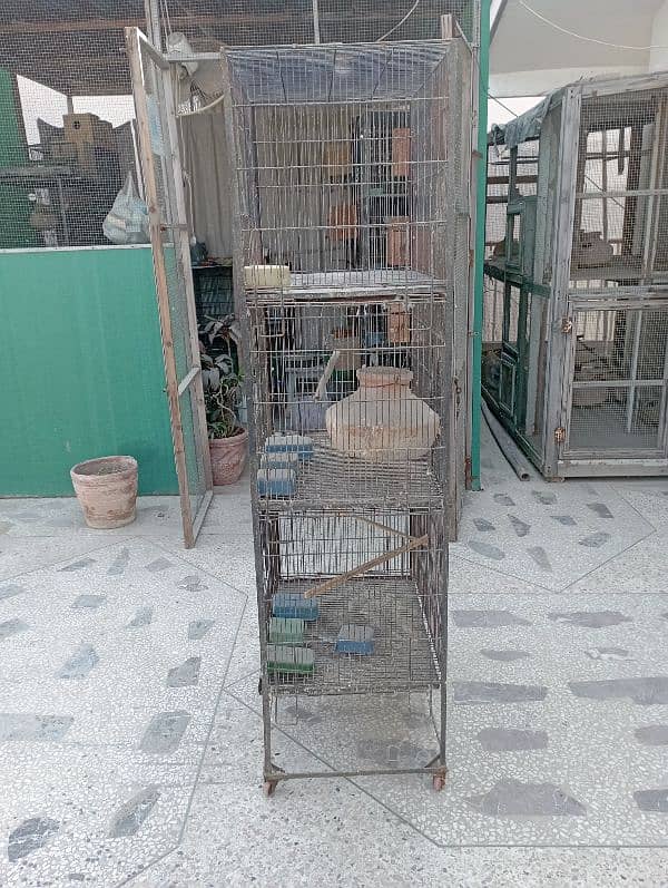 cage for sale 1