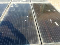 Ziewnic 185Watt Solar Panels For Sale