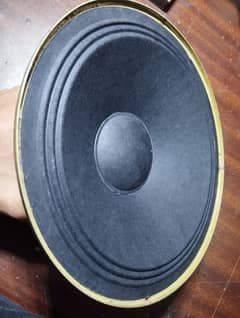 8 inch speaker