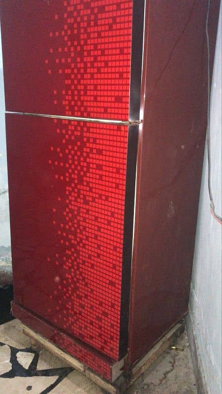 pel fridge glass door 2