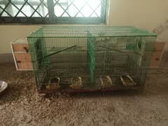 Lovebirds+cage for sale