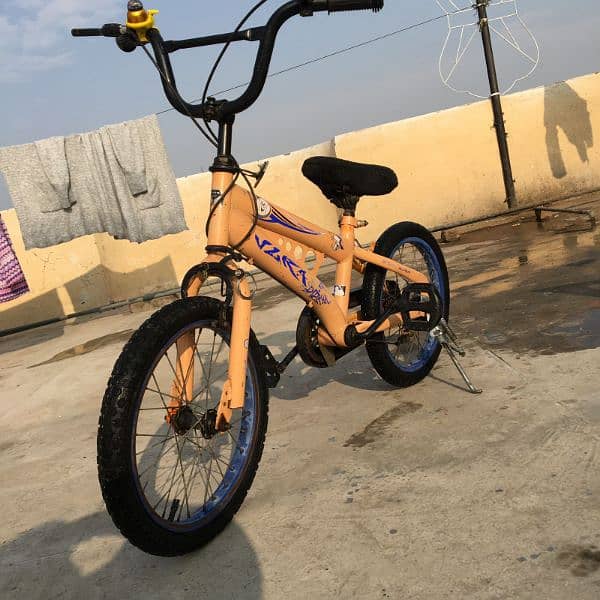 Imported Bicycle For Sale 1