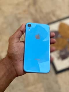 iPhone XR