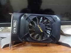 PNY GTX 750 TI 2 GB OC EDITION