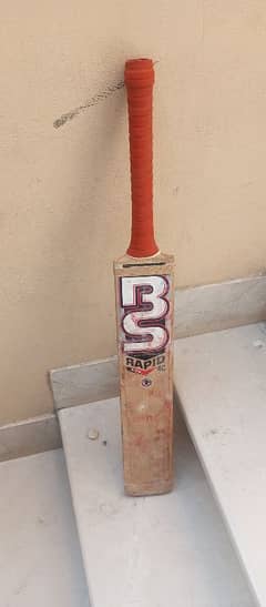 cricket bat