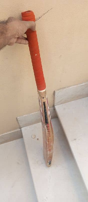 cricket bat 1