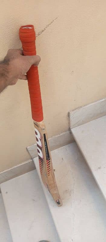 cricket bat 2