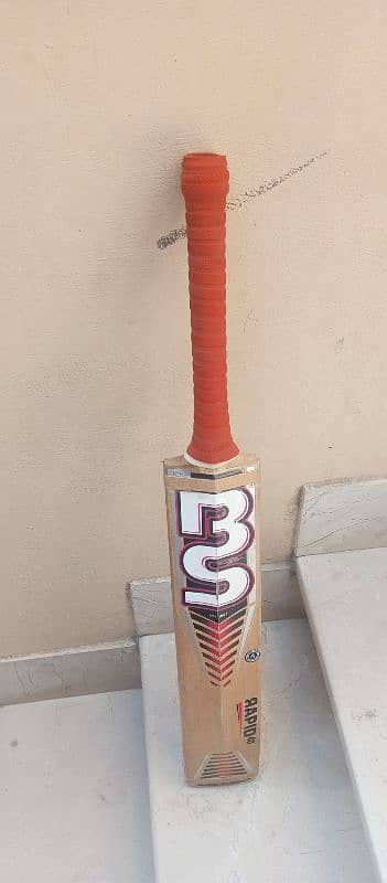 cricket bat 3