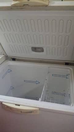 Extra large deep freezer