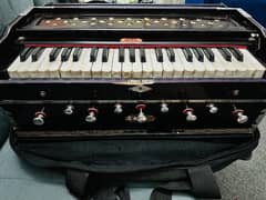 Indian Harmonium Bina