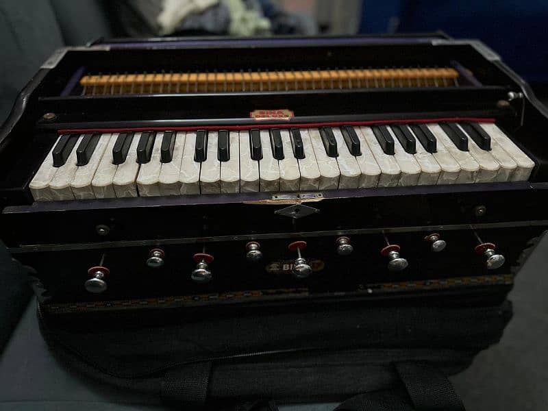 Indian Harmonium Bina 2