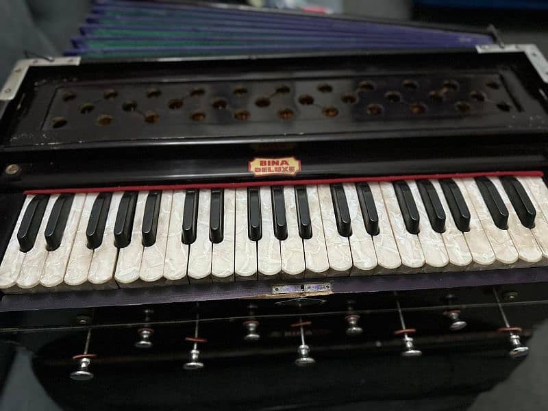 Indian Harmonium Bina 3