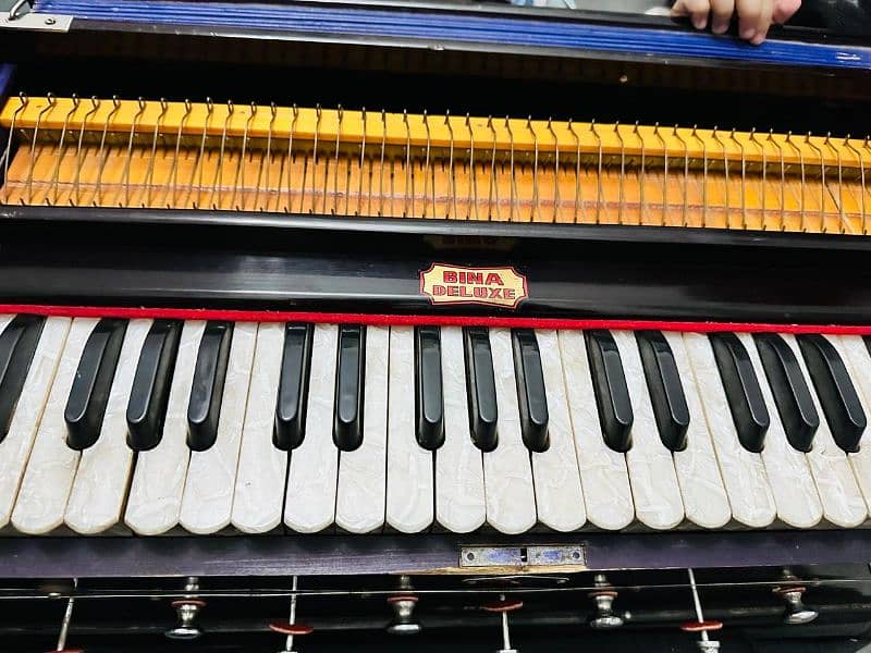 Indian Harmonium Bina 8