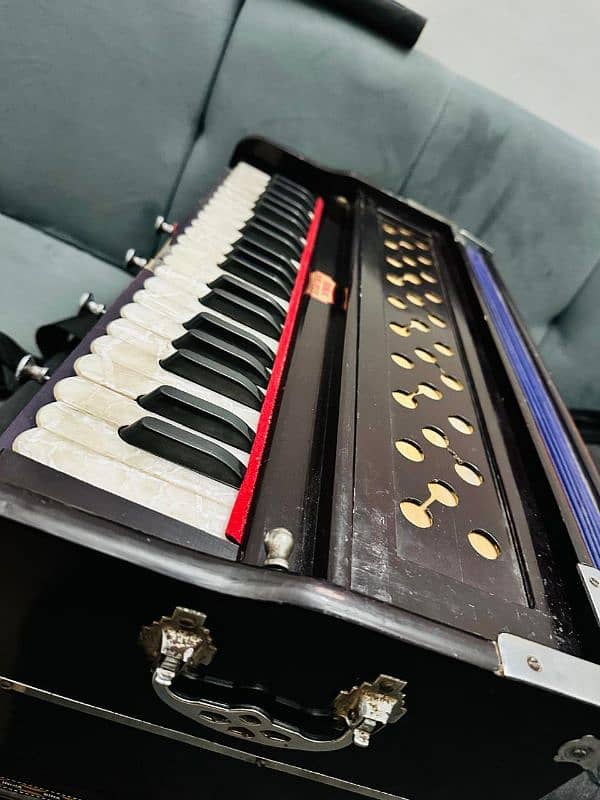 Indian Harmonium Bina 9