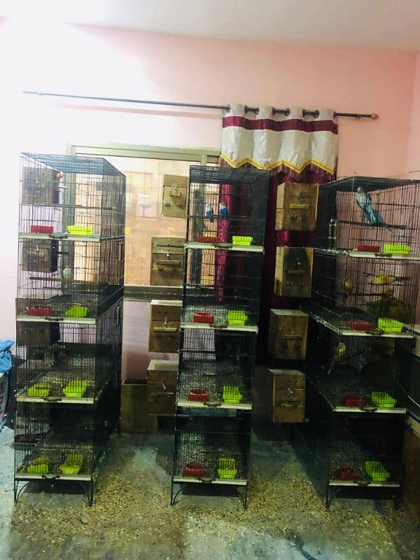 flying + breeding cage FOR SALE 0