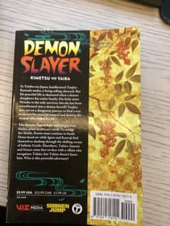 DEMON SLAYER VOLUME 19