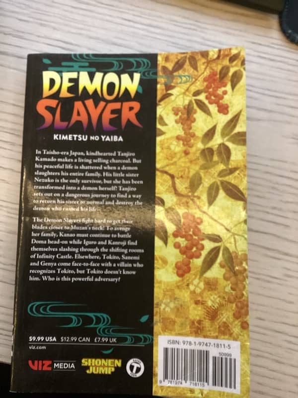 DEMON SLAYER VOLUME 19 0