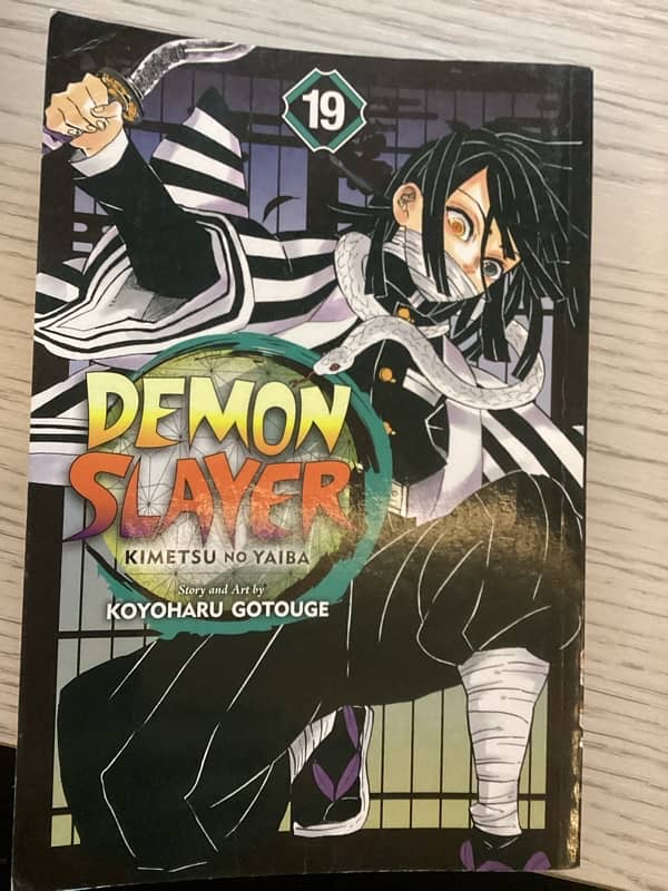 DEMON SLAYER VOLUME 19 1