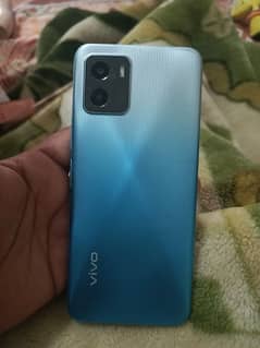 vivo