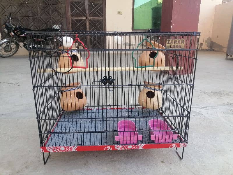 Birds cage 7