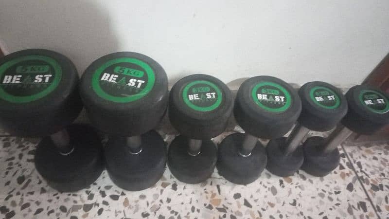 set of rubber coated dumbells 1