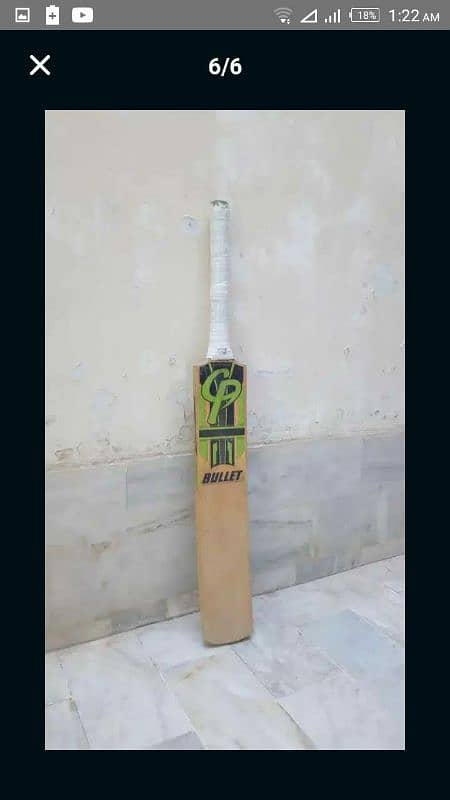 Cricket Bat 2