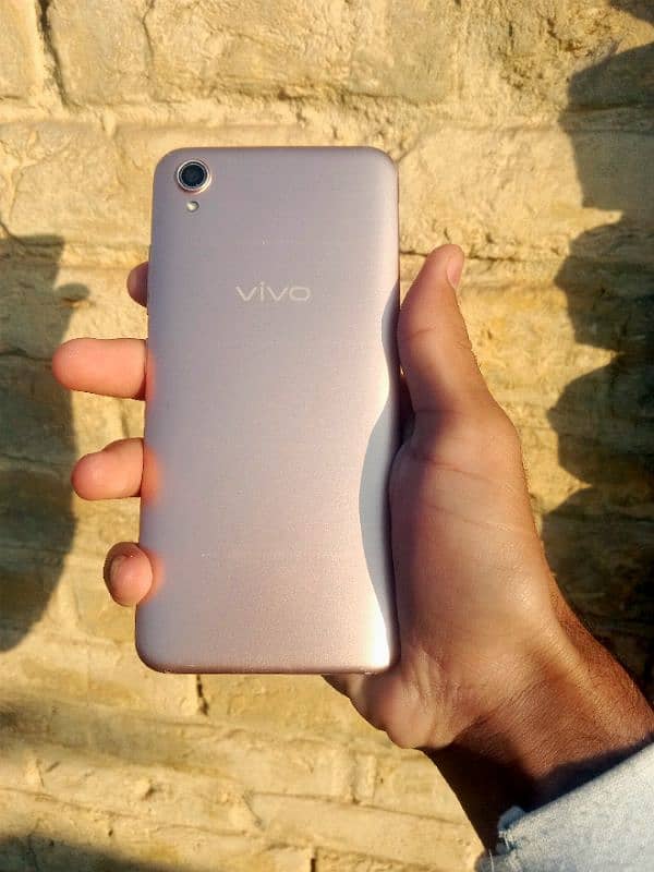 vivo. 2