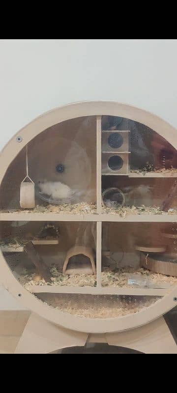 designer hamster shelter with hamster 4