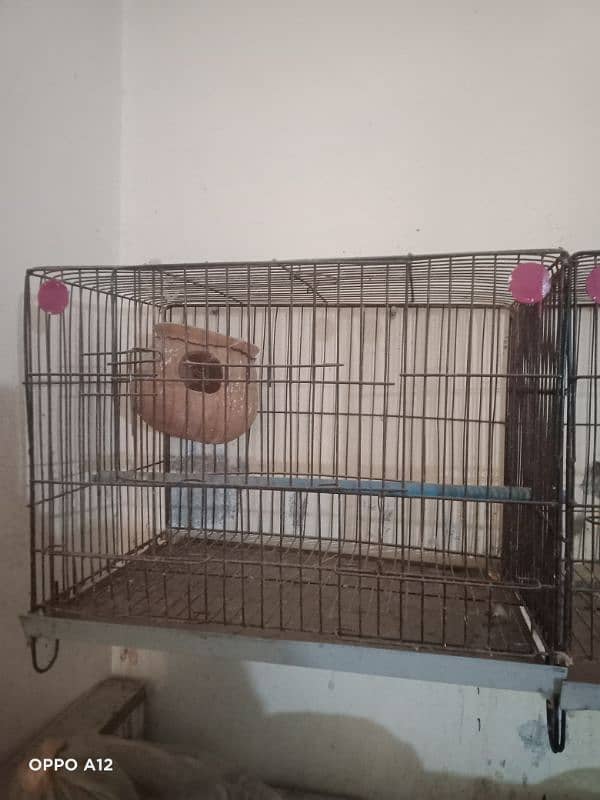 cage for sale 1