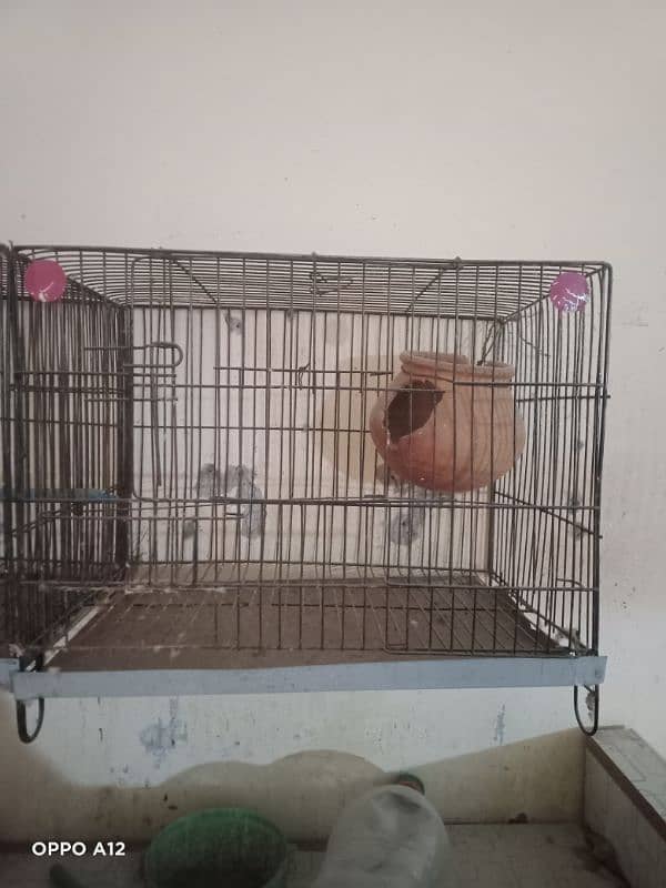 cage for sale 2