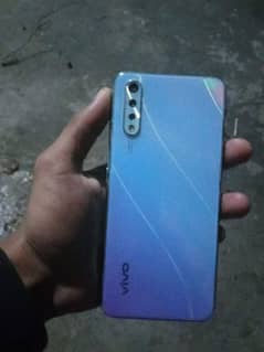 vivo