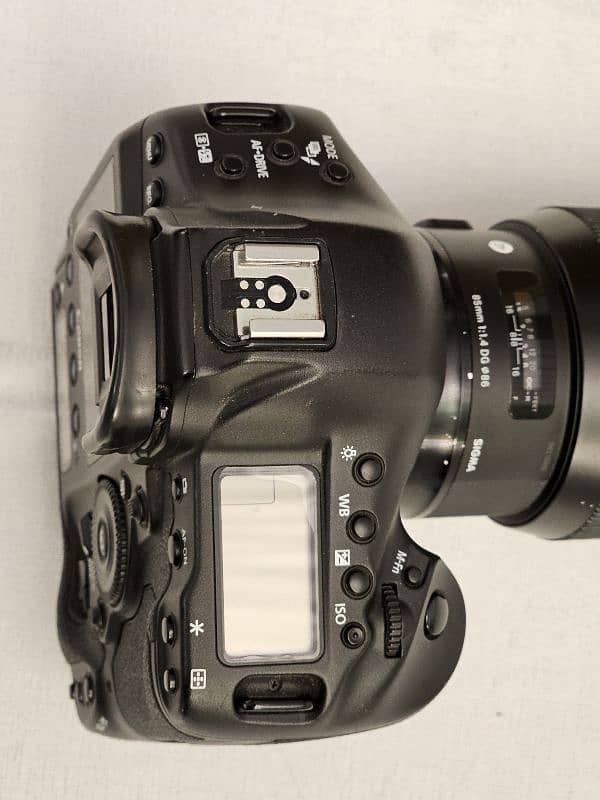 Canon 1dx Body 2