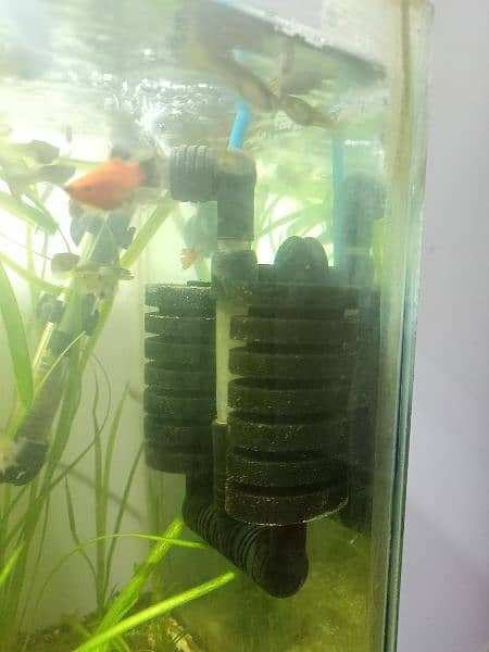 Aquarium Sponge Filter and Air Pump 0