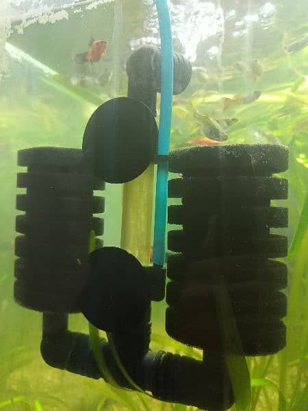 Aquarium Sponge Filter and Air Pump 1