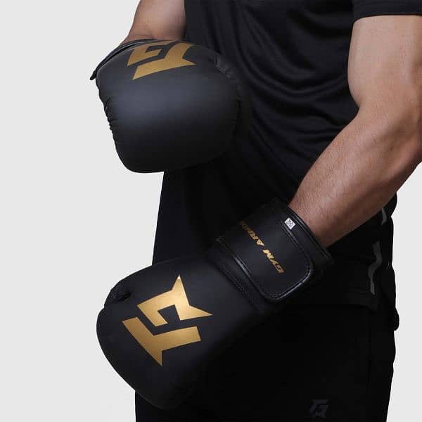 Gym Armour boxing gloves 0