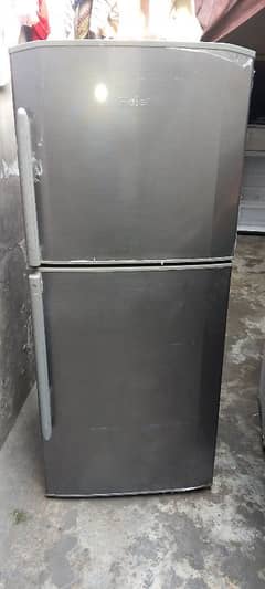 Haier full size fridge