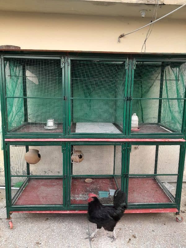 Cage for hen's and birds| multi use cage 1