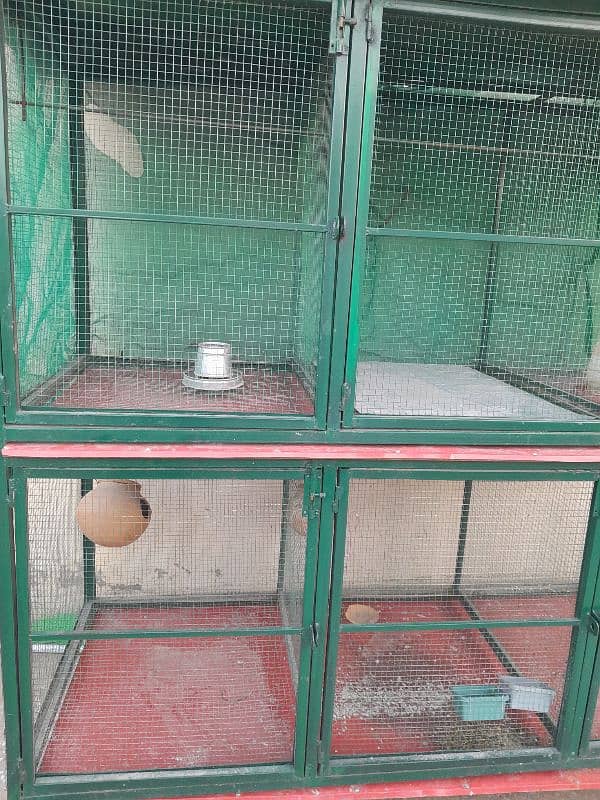 Cage for hen's and birds| multi use cage 2