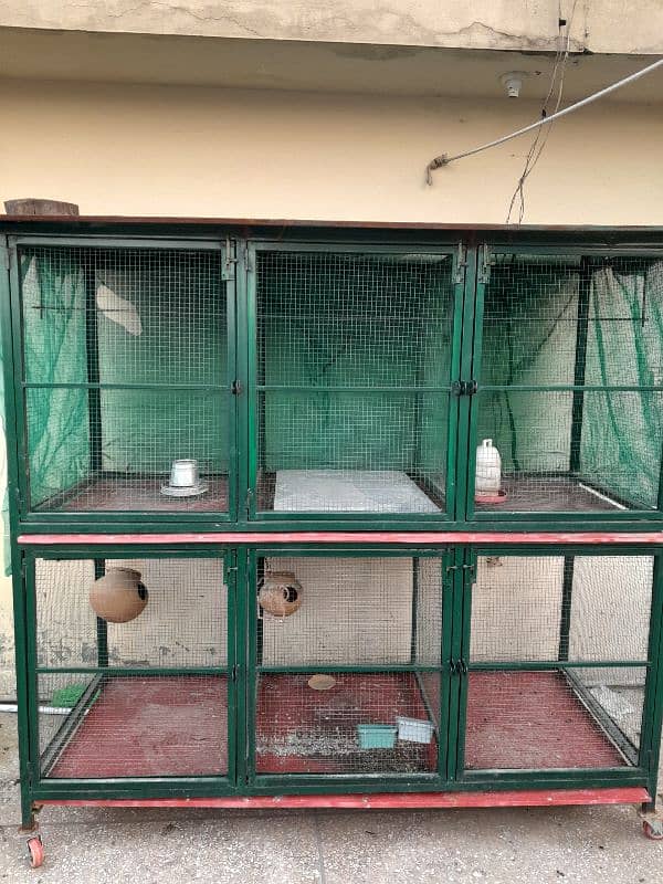 Cage for hen's and birds| multi use cage 3