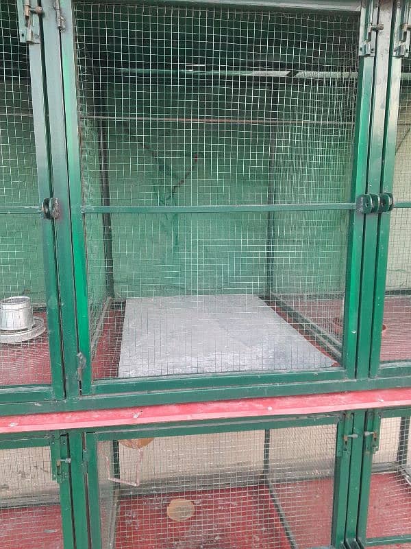 Cage for hen's and birds| multi use cage 4