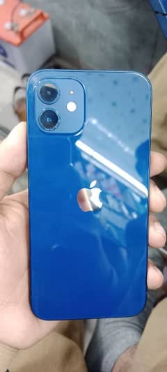 iphone 12 pta