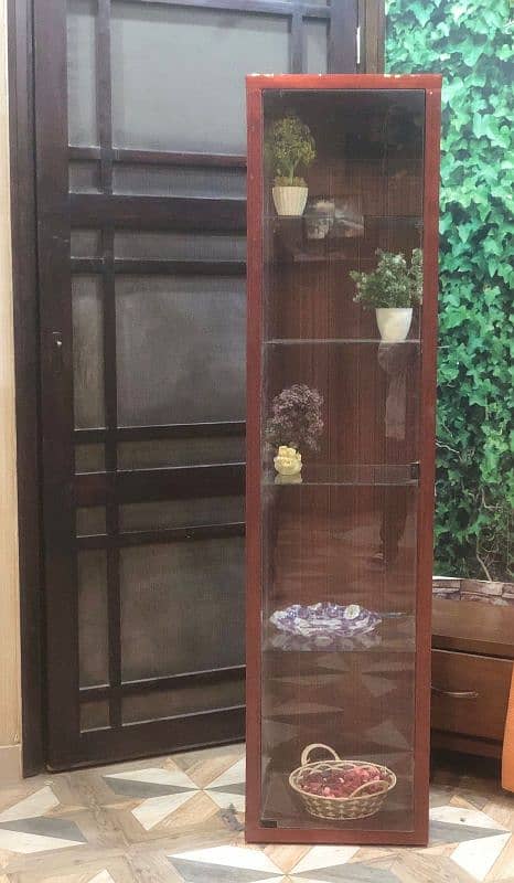 Modern Wooden & Glass Showcase || Glass partition || compact design 0