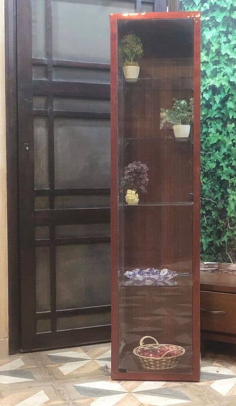 Modern Wooden & Glass Showcase || Glass partition || compact design 4