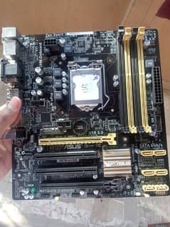 ASUS Q87M-E Motherboard