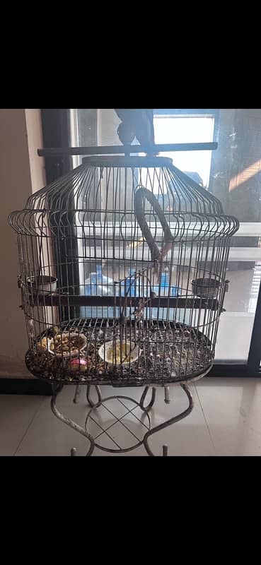 mein parrot ki cage sell karaha hoon strong road 1