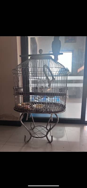 mein parrot ki cage sell karaha hoon strong road 2