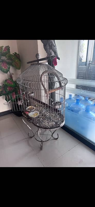 mein parrot ki cage sell karaha hoon strong road 3