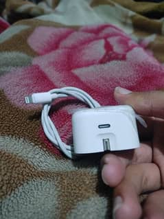 iPhone 13 Pro Max (20w) Original Charger