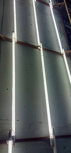 LED Phillips tube Light