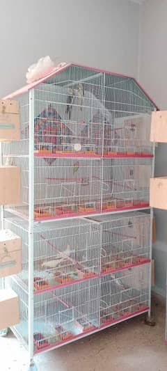 8 portion cage angel per bana hua qualited h